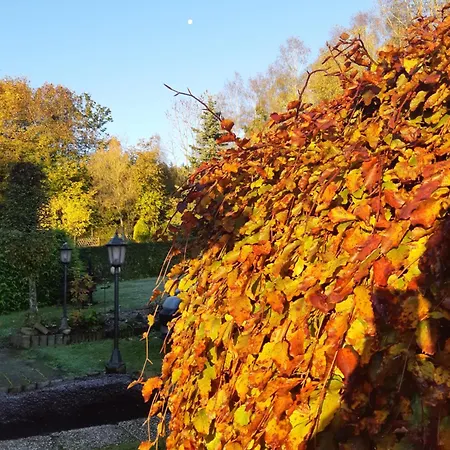Deine-eifel-ferienwohnung *