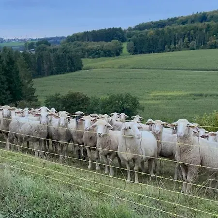 Deine-eifel-ferienwohnung Feusdorf