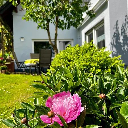 Deine-eifel-ferienwohnung *