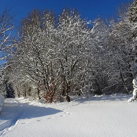 Deine-eifel-ferienwohnung *
