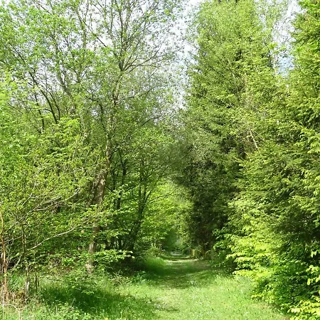 Apartamento Deine-eifel-ferienwohnung *