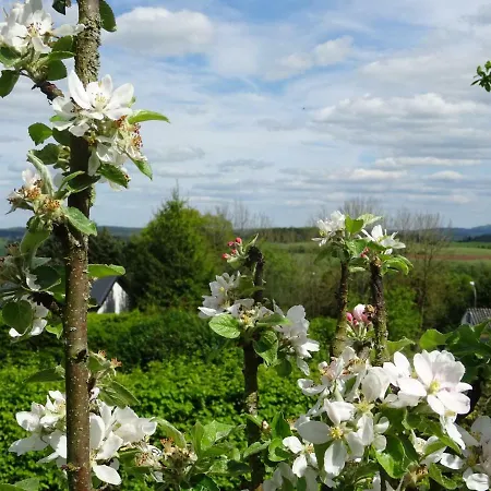 Deine-eifel-ferienwohnung