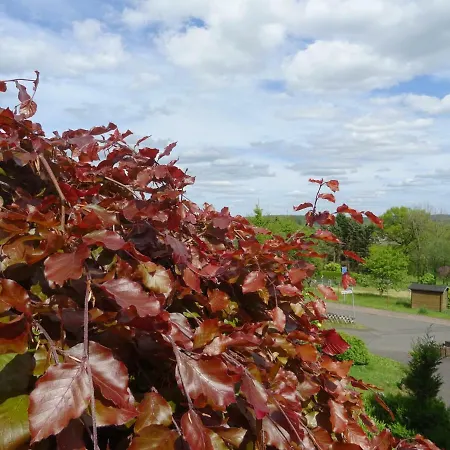 Deine-eifel-ferienwohnung