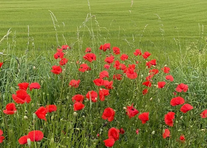 Deine-eifel-ferienwohnung * Feusdorf