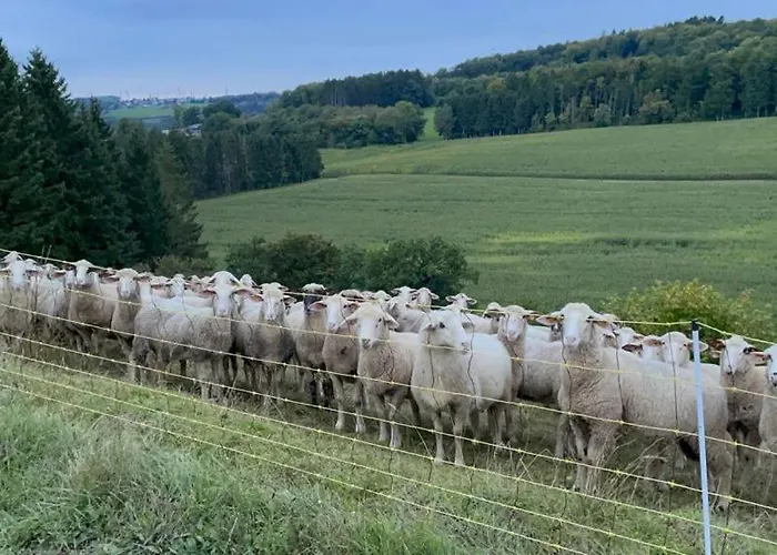 Deine-eifel-ferienwohnung Feusdorf
