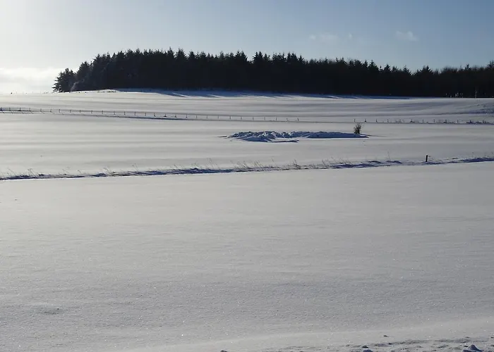 Deine-eifel-ferienwohnung Apartment *