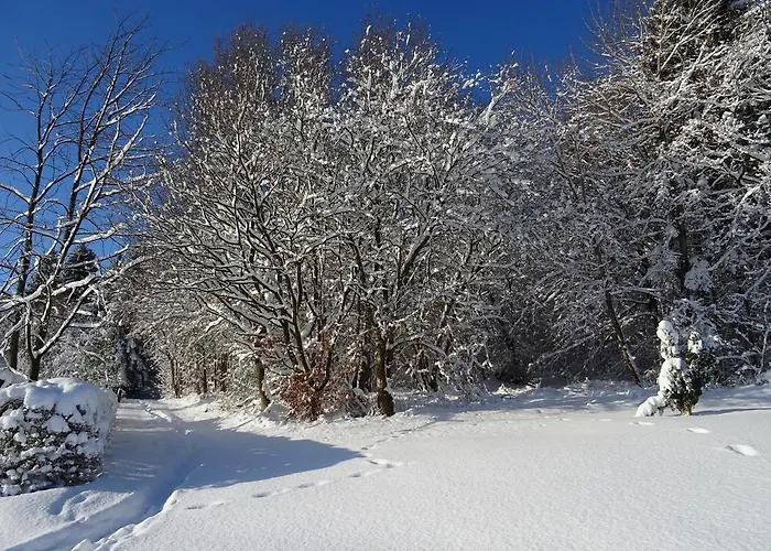 Deine-eifel-ferienwohnung *