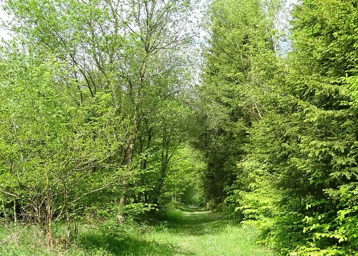 Apartment Deine-eifel-ferienwohnung *
