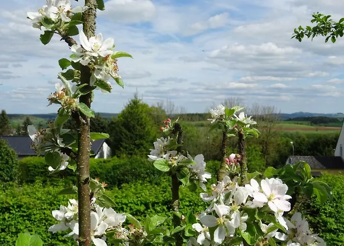 Deine-eifel-ferienwohnung