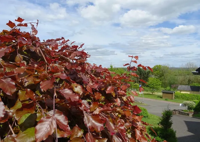 Deine-eifel-ferienwohnung